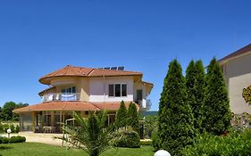 Александра Палас